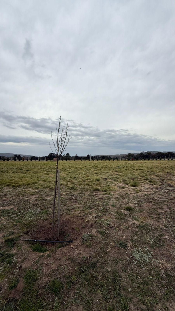 Terreno en Venta en Las Verbenas,  Sierra de  la Ventana - Bahía Blanca Propiedades | SITIO OFICIAL l