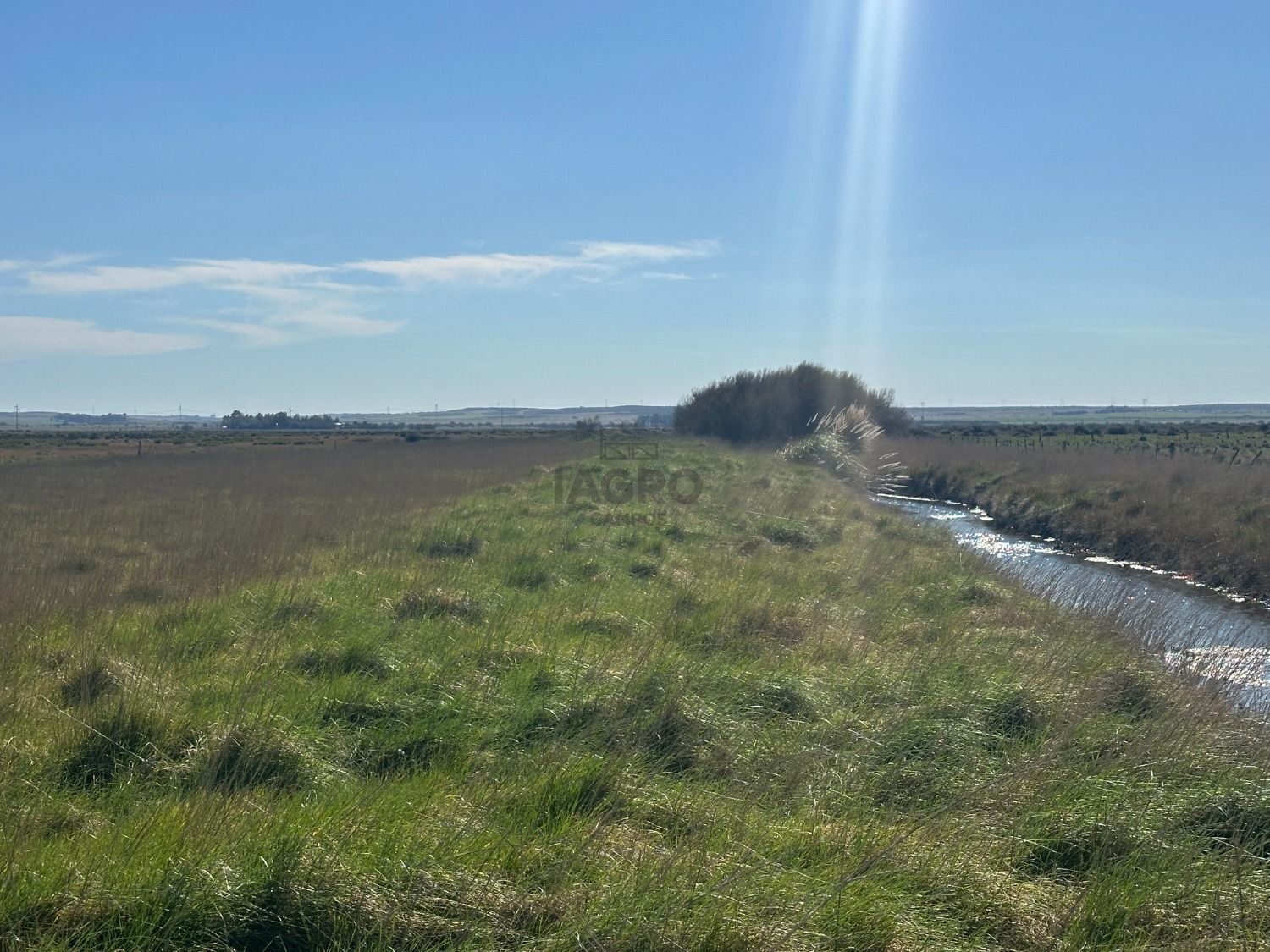 Campo  en Venta en Bahia Blanca,  Bahía Blanca - Bahía Blanca Propiedades | SITIO OFICIAL l