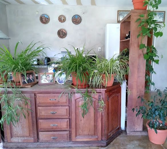 Casa en Alquiler en Andrade 600,  Punta Alta - Bahía Blanca Propiedades | SITIO OFICIAL l