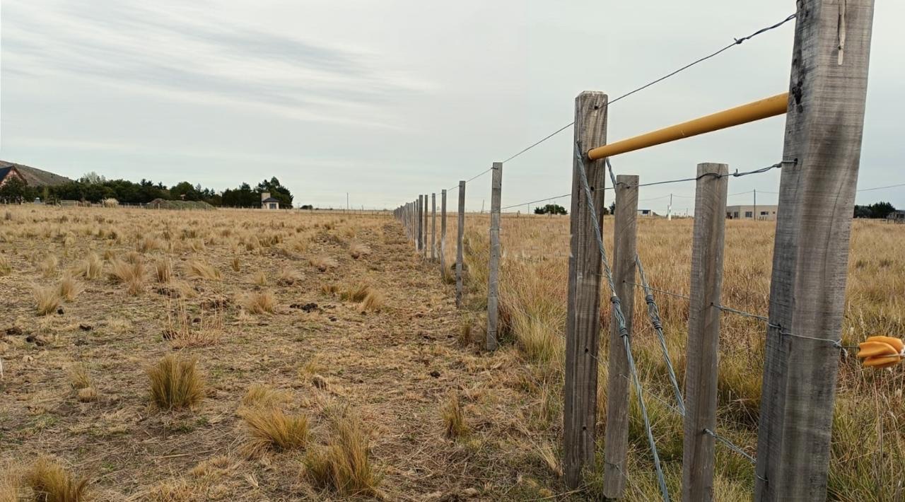 Terreno en Venta en Melica Sin Numero,  San Andres de las Sierras - Bahía Blanca Propiedades | SITIO OFICIAL l