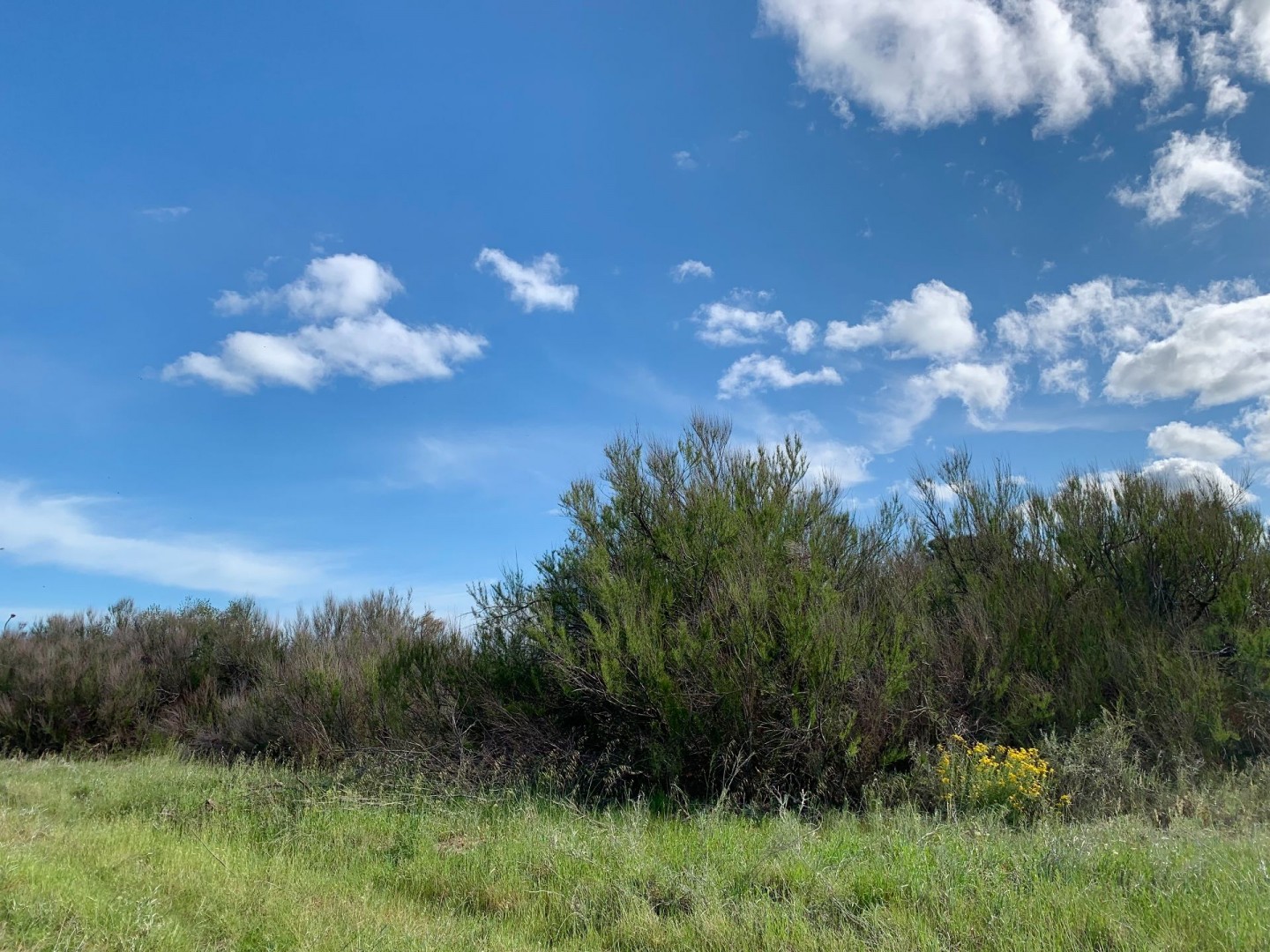 Terreno en Venta en Los Zorzales Y Flamencos, Monte del Este, Monte Hermoso - Bahía Blanca Propiedades | SITIO OFICIAL l