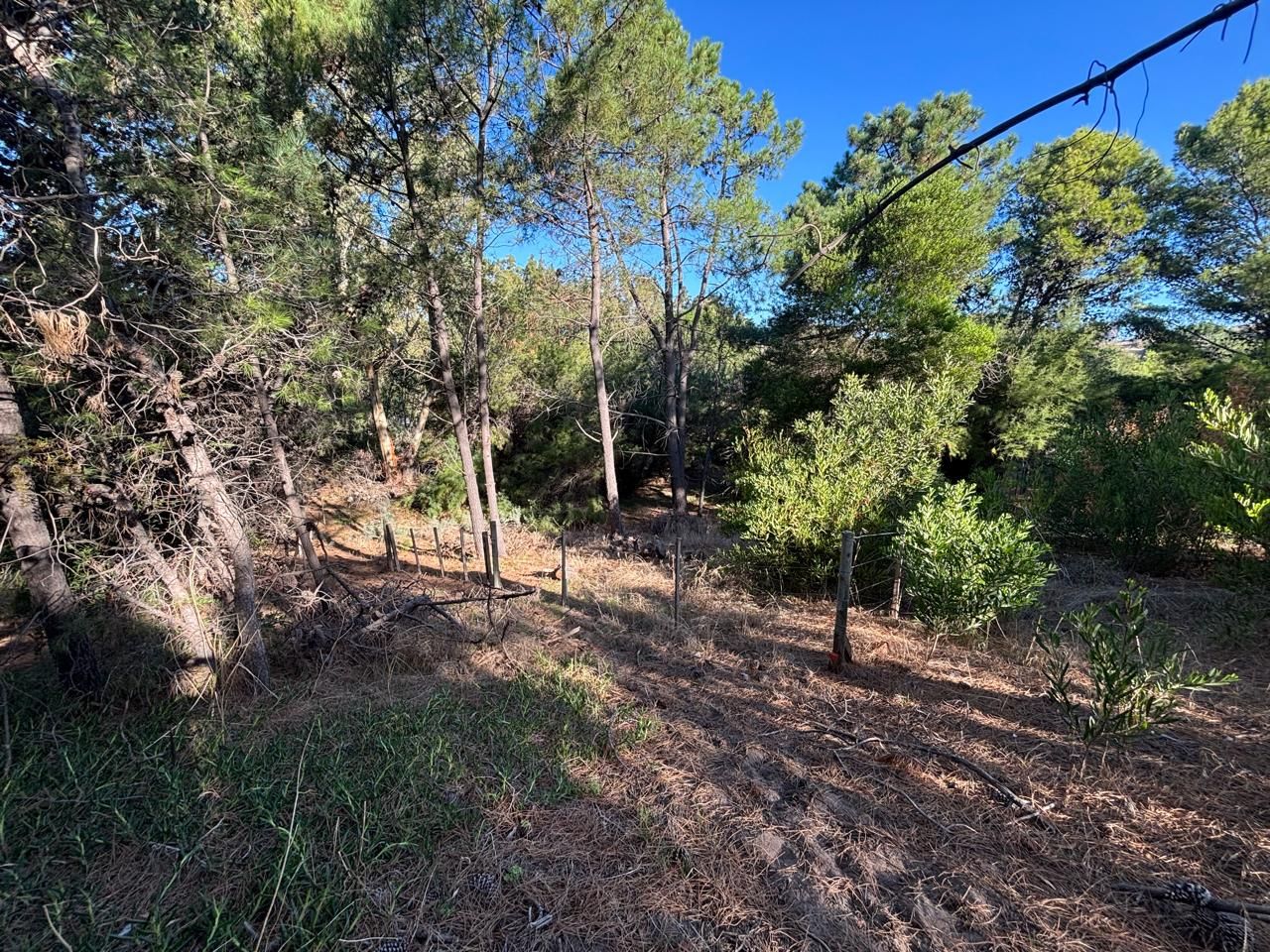 Terreno en Venta en Edurado Plache Y Miramar, El Sauce, Monte Hermoso - Bahía Blanca Propiedades | SITIO OFICIAL l