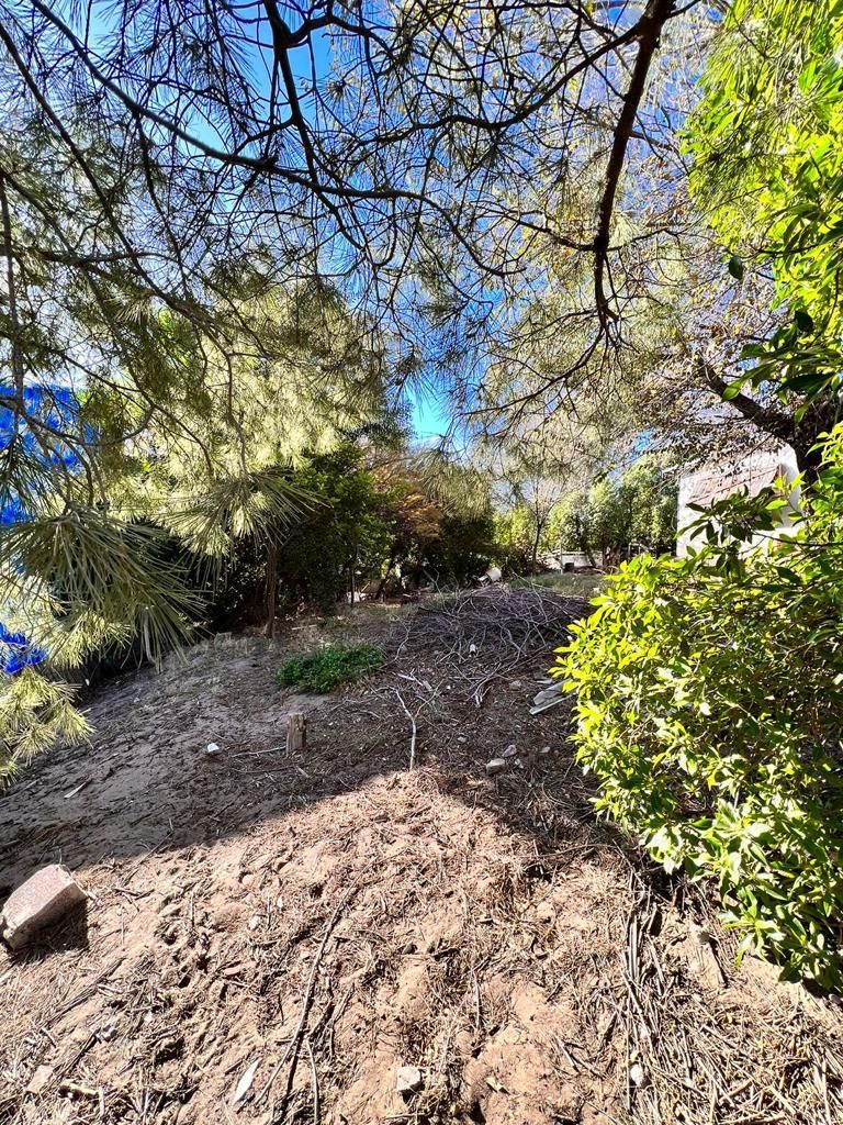 Terreno en Venta en  E. Plache, Entre Orense Y Bernabé Rodríguez, El Sauce, Monte Hermoso - Bahía Blanca Propiedades | SITIO OFICIAL l