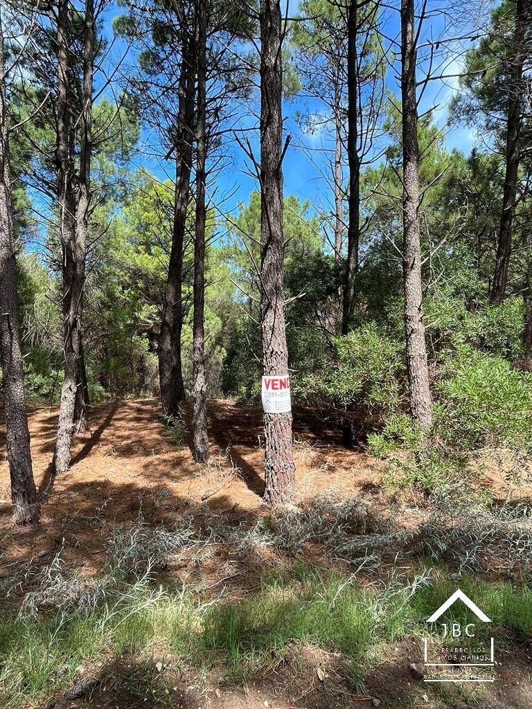 Terreno en Venta en Bosque Alegre, Pinar del Golf, Monte Hermoso - Bahía Blanca Propiedades | SITIO OFICIAL l