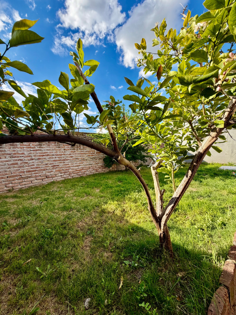 Casa en Venta en Godoy Cruz 834, Villa Loreto, Bahía Blanca - Bahía Blanca Propiedades | SITIO OFICIAL l