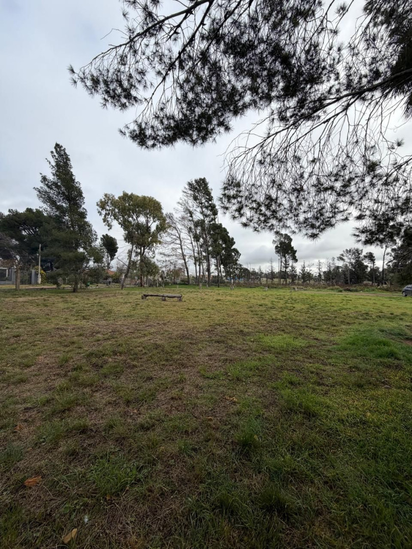 Terreno en Venta en Profesora Herminia Abat Y Matheu, Altos del Pinar, Bahía Blanca - Bahía Blanca Propiedades | SITIO OFICIAL l