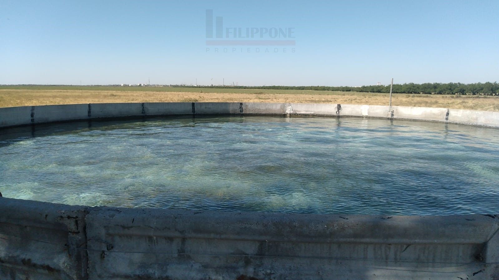 Campo  en Venta en Ruta Nacional 35 Km15,  Bahía Blanca - Bahía Blanca Propiedades | SITIO OFICIAL l