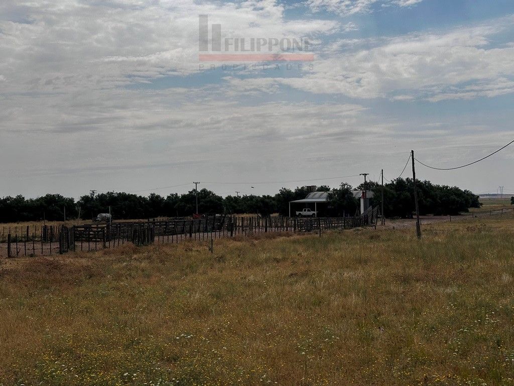 Campo  en Venta en Ruta Nacional 35 Km15,  Bahía Blanca - Bahía Blanca Propiedades | SITIO OFICIAL l
