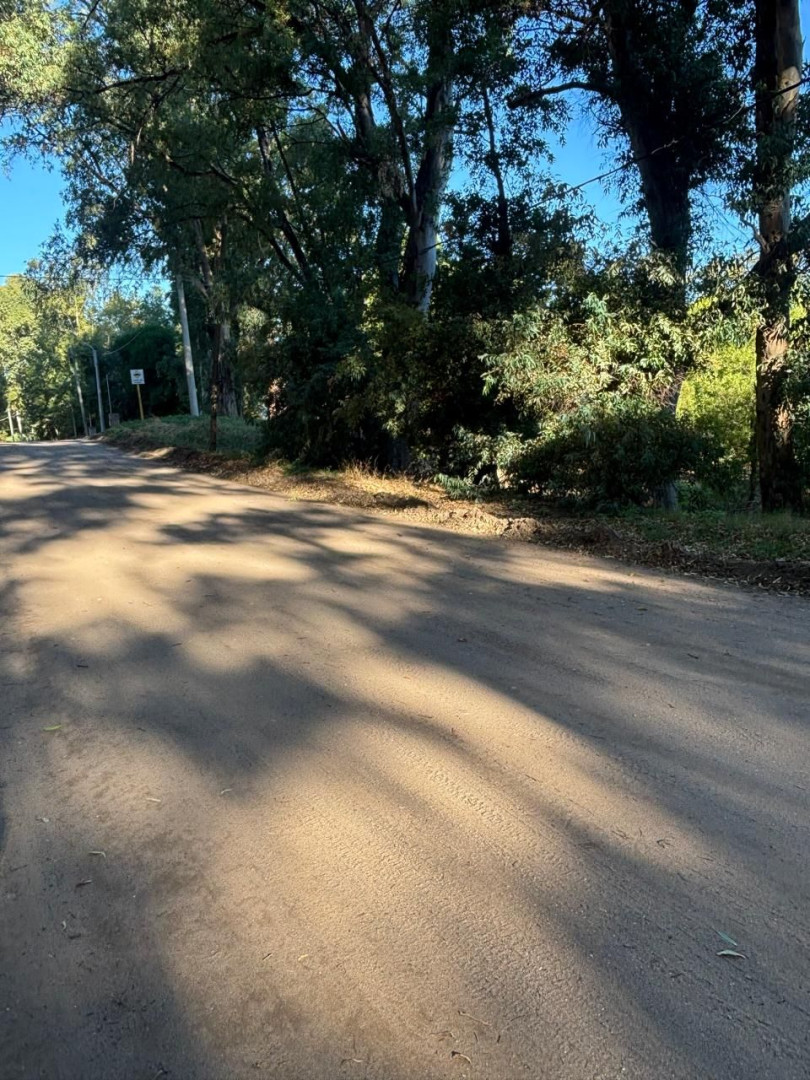 Terreno en Venta en Seclantas Y Mar Del Sur, El Sauce, Monte Hermoso - Bahía Blanca Propiedades | SITIO OFICIAL l