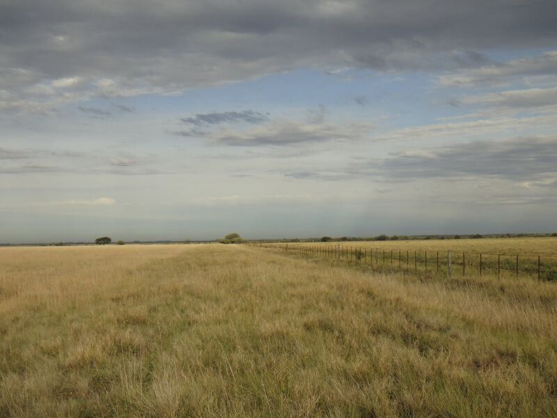 Campo  en Venta en Caleu Caleu,  Caleu Caleu - Bahía Blanca Propiedades | SITIO OFICIAL l