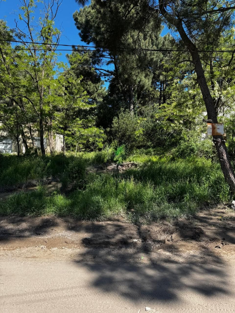 Terreno en Venta en Las Ballenas Y Del Abadejo, Las Dunas, Monte Hermoso - Bahía Blanca Propiedades | SITIO OFICIAL l