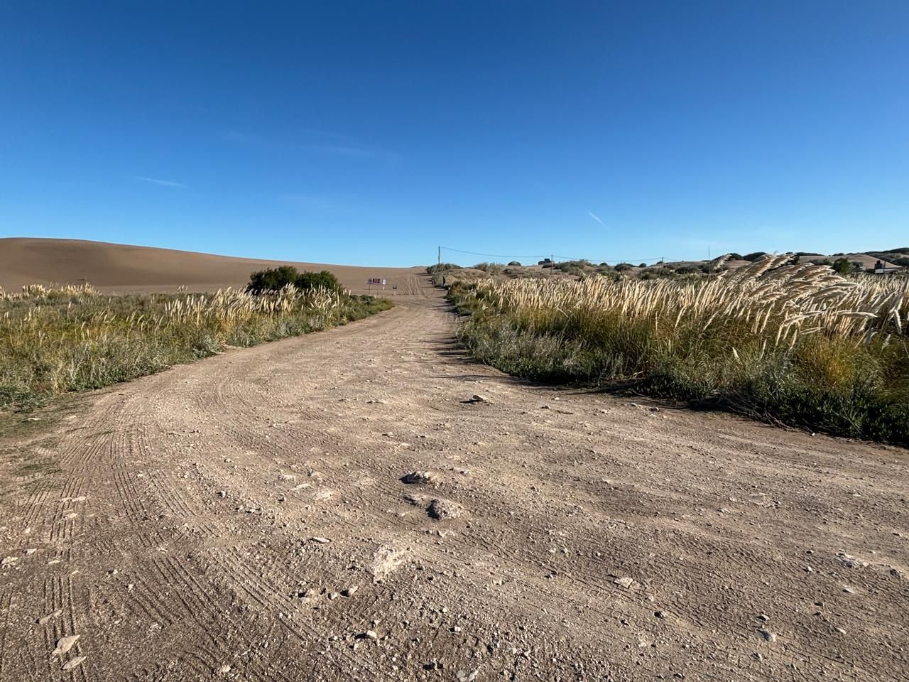 Terreno en Venta  El Sauce, Monte Hermoso - Bahía Blanca Propiedades | SITIO OFICIAL l