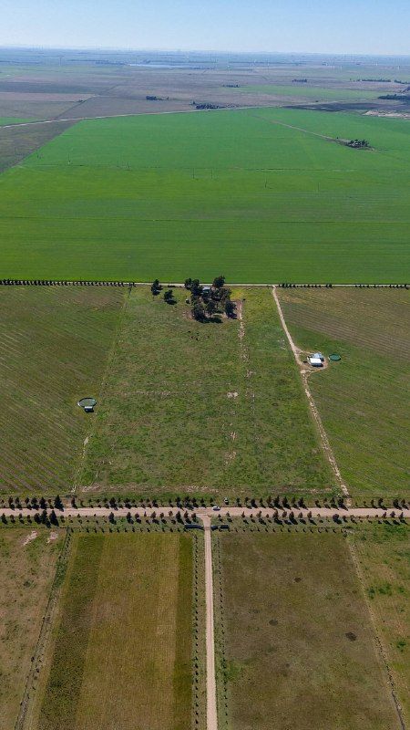 Campo  en Venta   Bahía Blanca - Bahía Blanca Propiedades | SITIO OFICIAL l