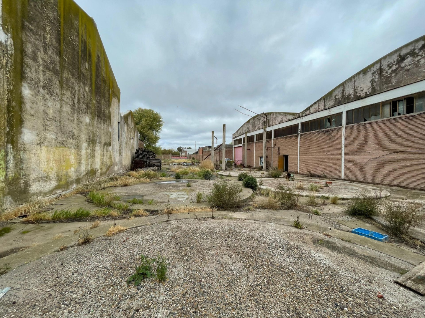 Galpón en Venta en Colón 1800,  Bahía Blanca - Bahía Blanca Propiedades | SITIO OFICIAL l