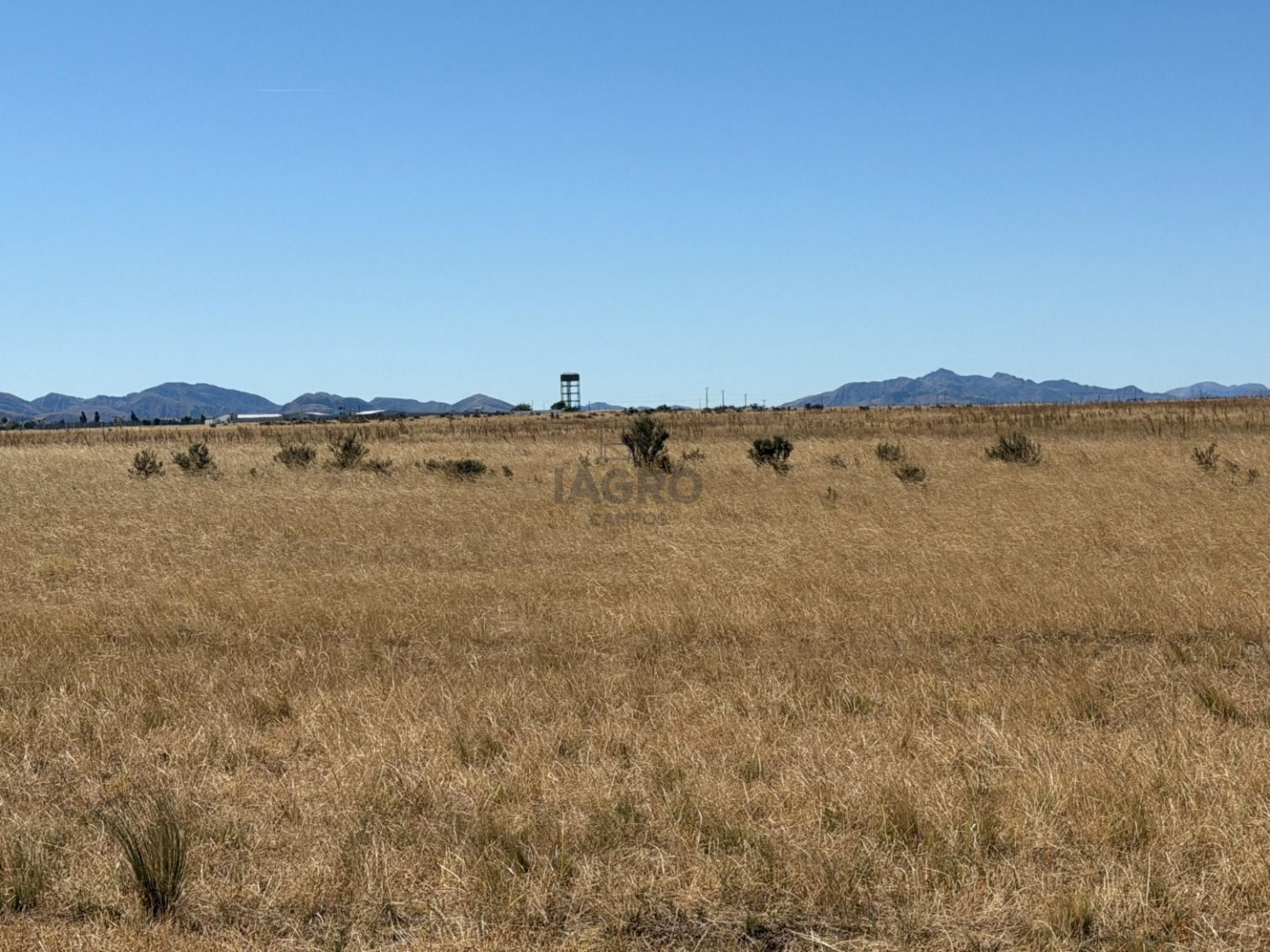 Campo  en Venta en Partido De Saavedra,  Saavedra - Bahía Blanca Propiedades | SITIO OFICIAL l