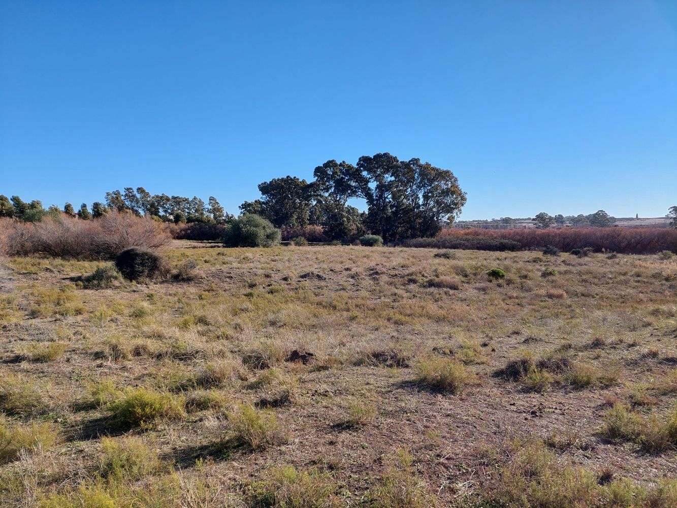 Terreno en Venta en Rodriguez Y Brigadier Estanislao Lopez ,  Bahía Blanca - Bahía Blanca Propiedades | SITIO OFICIAL l