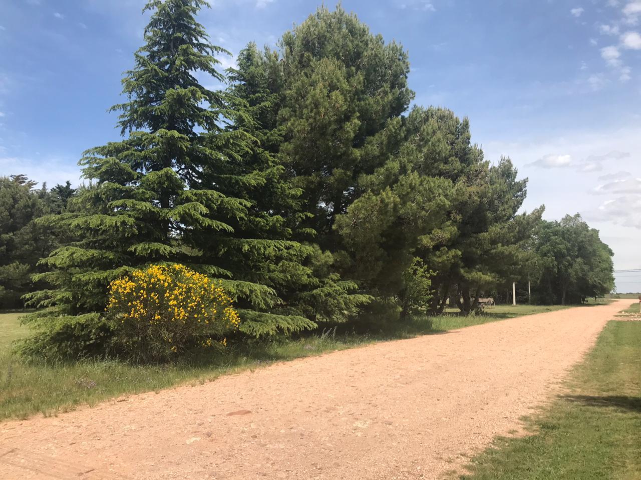 Terreno en Venta en Villa Serrana La Gruta,  Tornquist - Bahía Blanca Propiedades | SITIO OFICIAL l