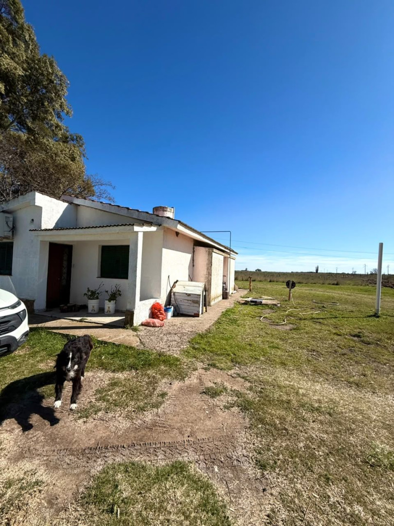 Campo  en Venta   Juan A. Pradere - Bahía Blanca Propiedades | SITIO OFICIAL l