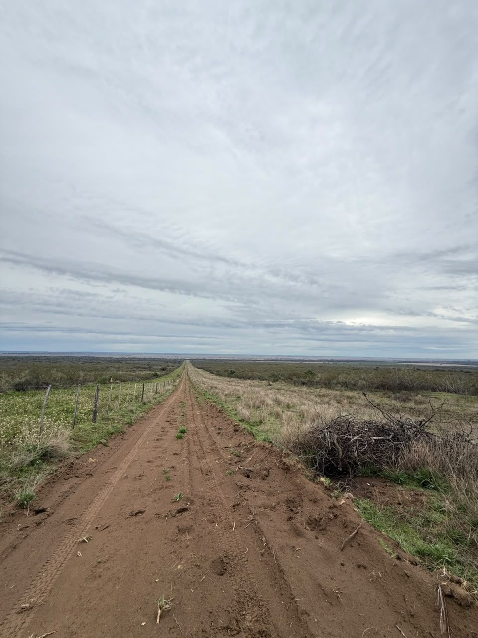 Campo  en Venta   Medanos - Bahía Blanca Propiedades | SITIO OFICIAL l