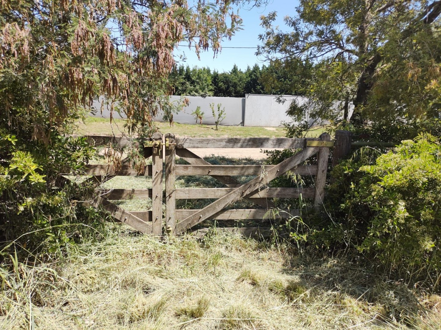 Terreno en Venta en Jorge Aguilar 3800, Paihuen, Bahía Blanca - Bahía Blanca Propiedades | SITIO OFICIAL l