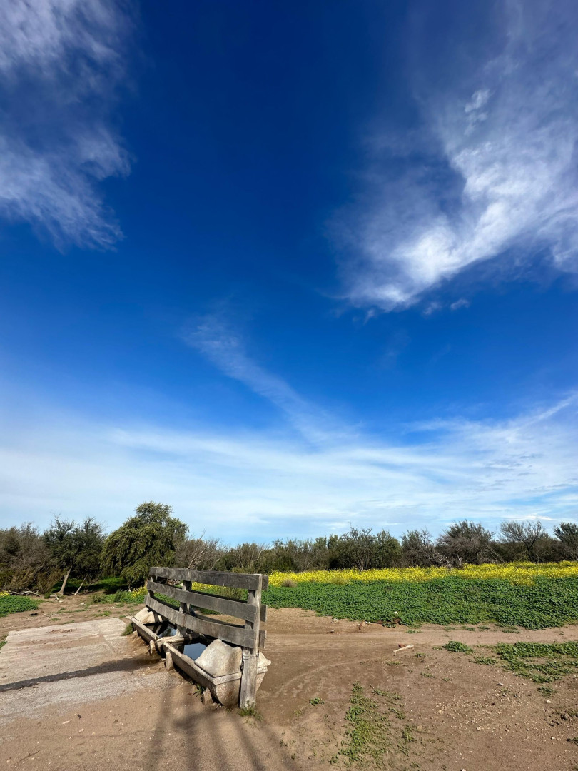 Campo  en Venta   Medanos - Bahía Blanca Propiedades | SITIO OFICIAL l