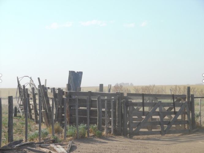 Campo  en Venta en Partido De Villarino,  Villarino - Bahía Blanca Propiedades | SITIO OFICIAL l
