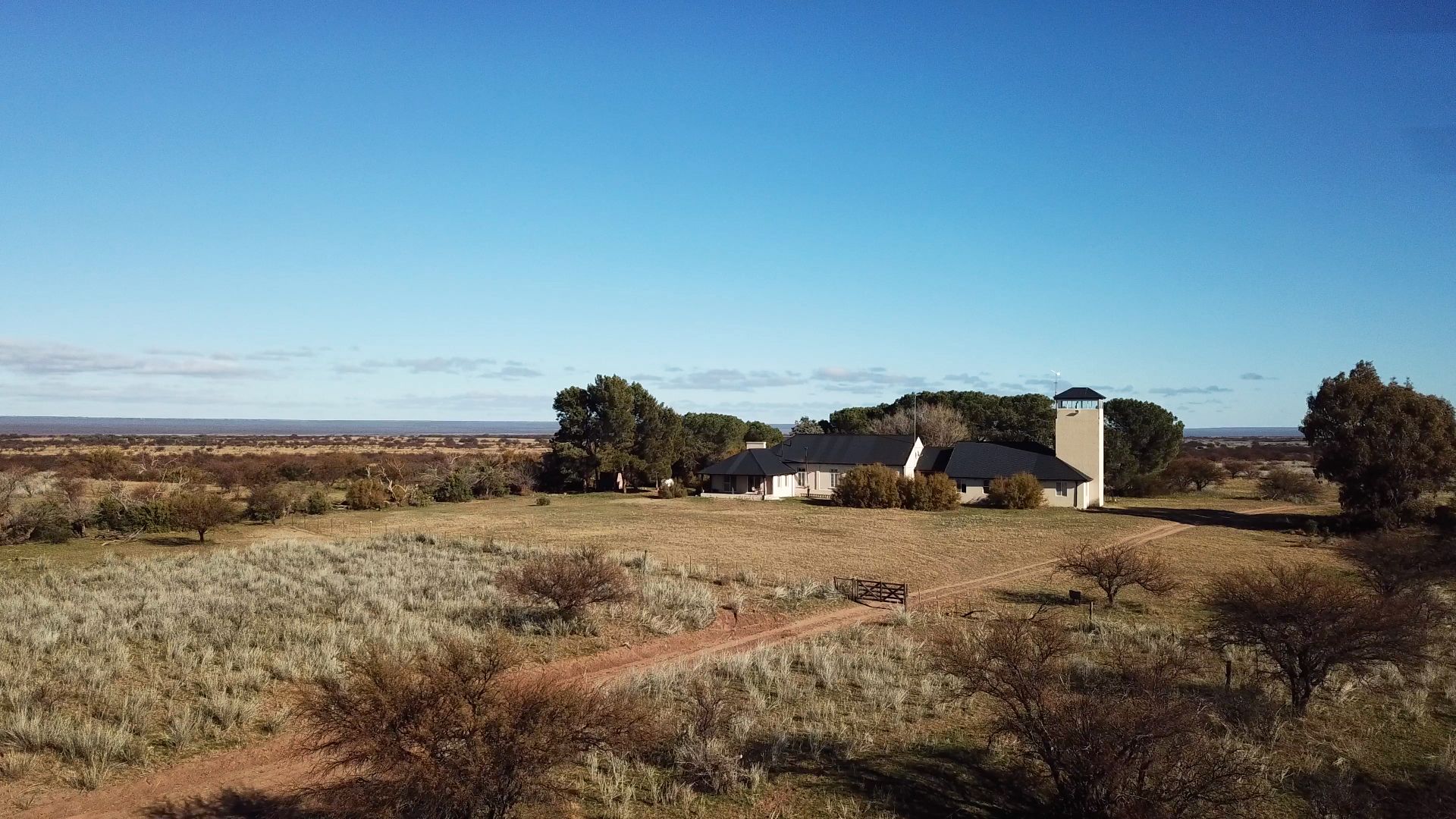 Campo  en Venta   Bernasconi - Bahía Blanca Propiedades | SITIO OFICIAL l