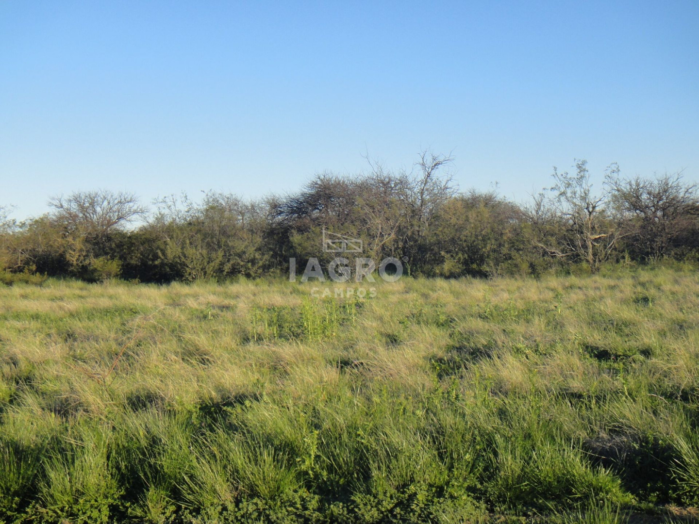 Campo  en Venta en Caleu Caleu,  Caleu Caleu - Bahía Blanca Propiedades | SITIO OFICIAL l