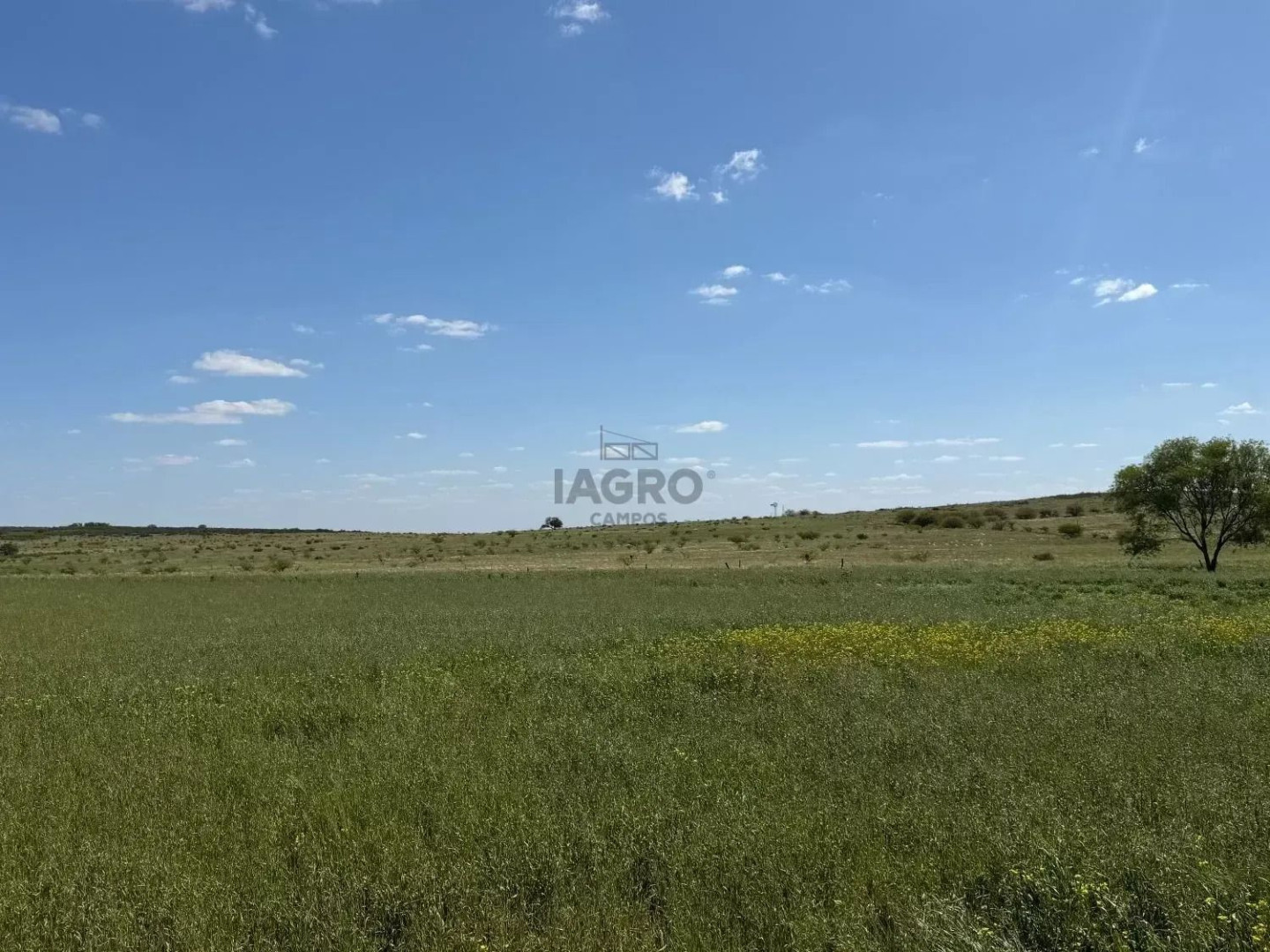 Campo  en Venta en Camino Parque Sesquicentenario,  Bahía Blanca - Bahía Blanca Propiedades | SITIO OFICIAL l