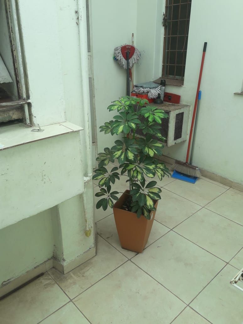 Consultorio en Venta en DONADO 800, Centro, Bahía Blanca - Bahía Blanca Propiedades | SITIO OFICIAL l