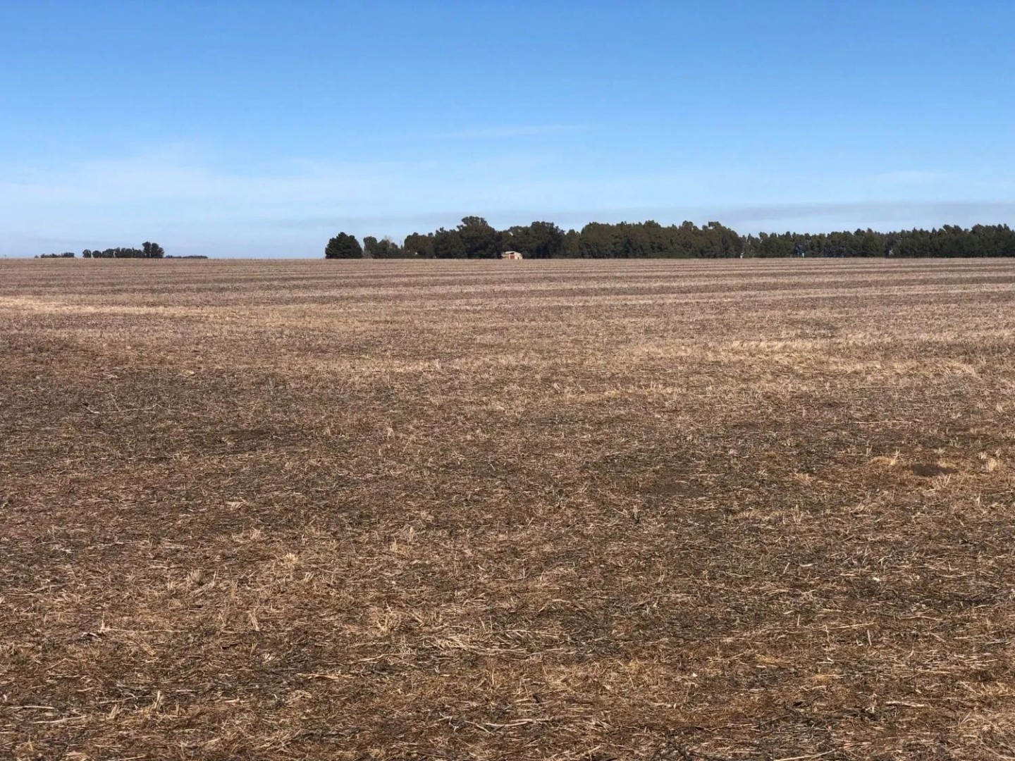 Campo  en Venta en Tres Arroyos,  Tres Arroyos - Bahía Blanca Propiedades | SITIO OFICIAL l