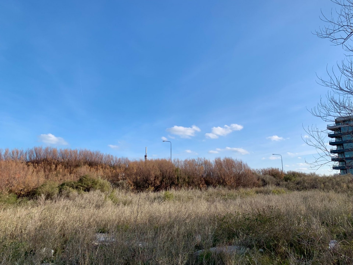 Terreno en Venta en Av. Costanera Este 700, Monte del Este, Monte Hermoso - Bahía Blanca Propiedades | SITIO OFICIAL l