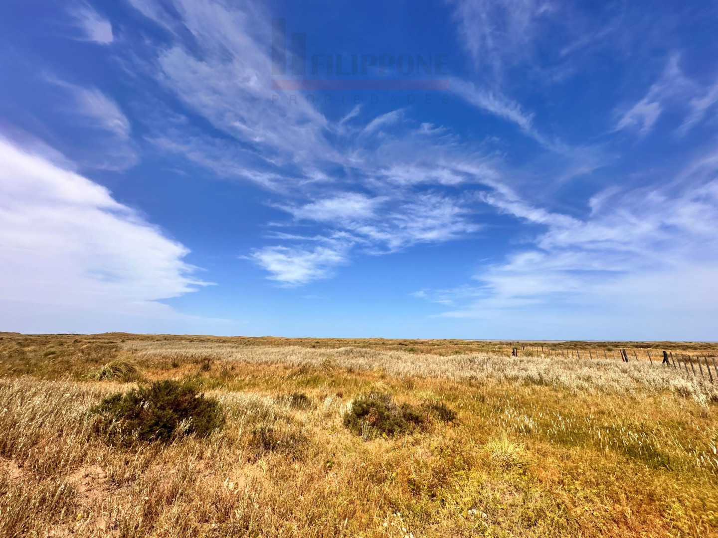 Campo  en Venta   Coronel Dorrego - Bahía Blanca Propiedades | SITIO OFICIAL l
