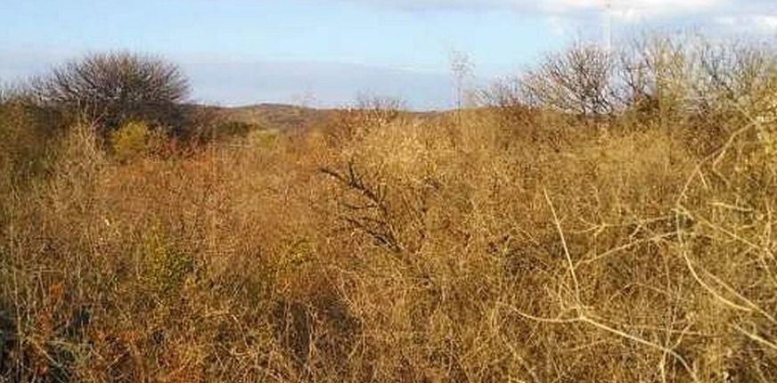 Terreno en Venta en Las Vertientes,  Córdoba - Bahía Blanca Propiedades | SITIO OFICIAL l