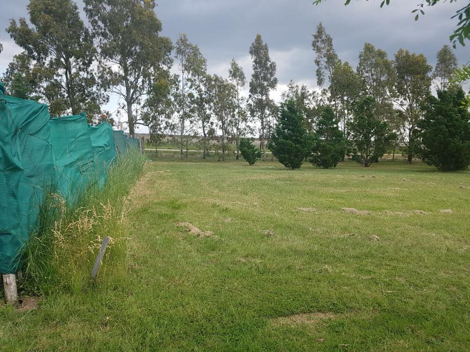 Terreno en Venta  Pago Chico, Bahía Blanca - Bahía Blanca Propiedades | SITIO OFICIAL l