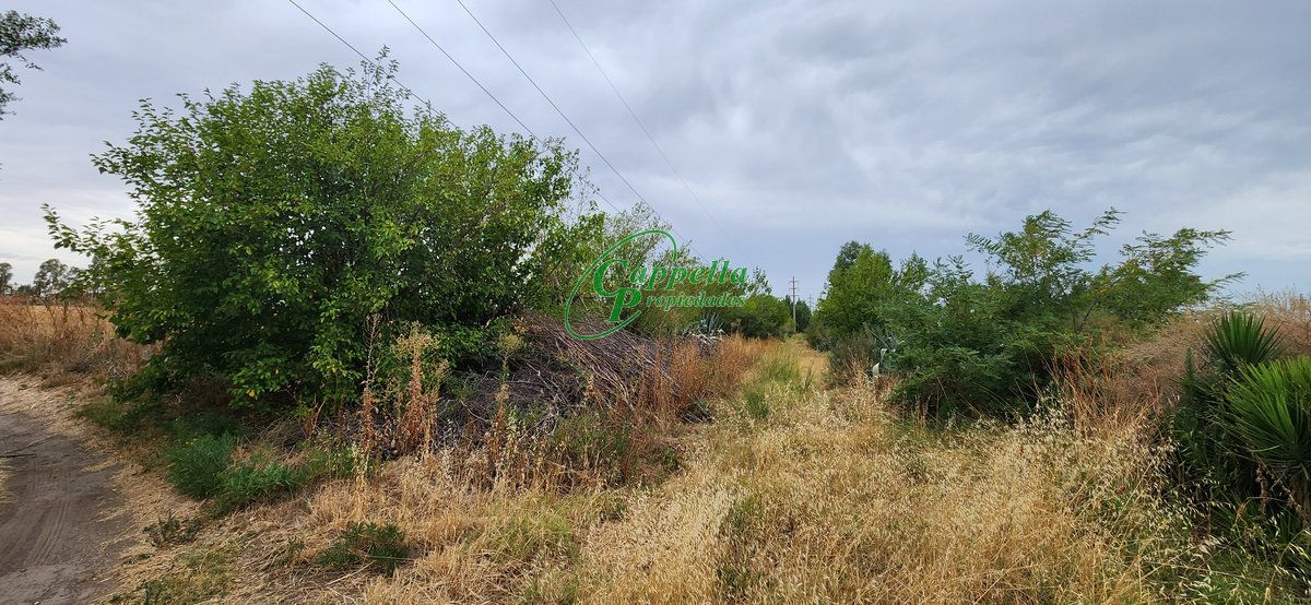 Terreno en Venta   Punta Alta - Bahía Blanca Propiedades | SITIO OFICIAL l