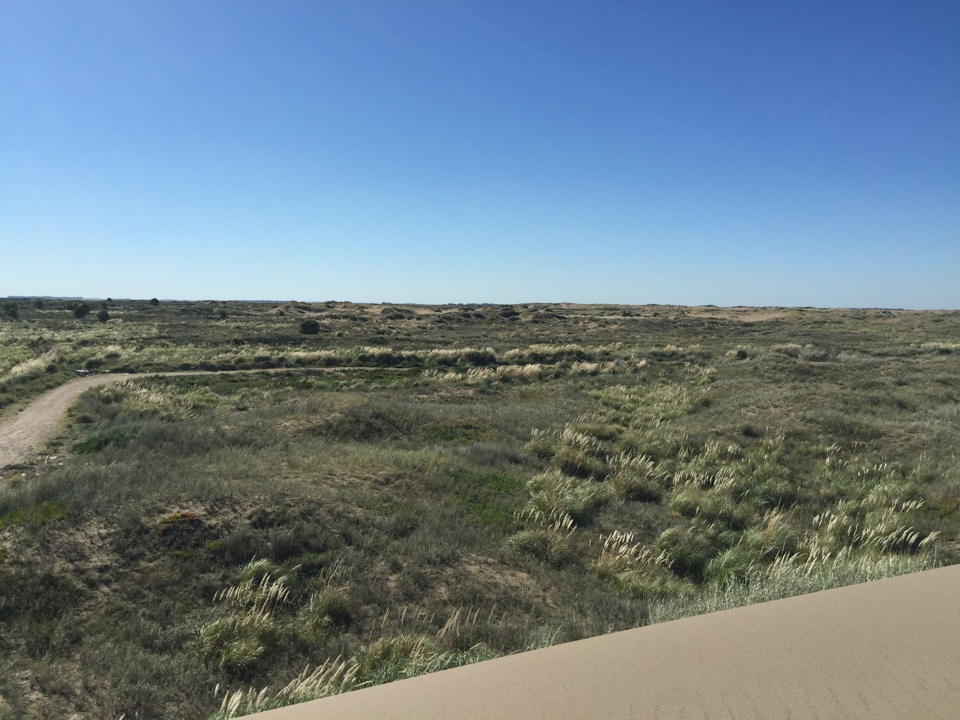 Terreno en Venta en Las Toninas Entre Ostende Y Mar Chiquita, El Sauce, Monte Hermoso - Bahía Blanca Propiedades | SITIO OFICIAL l