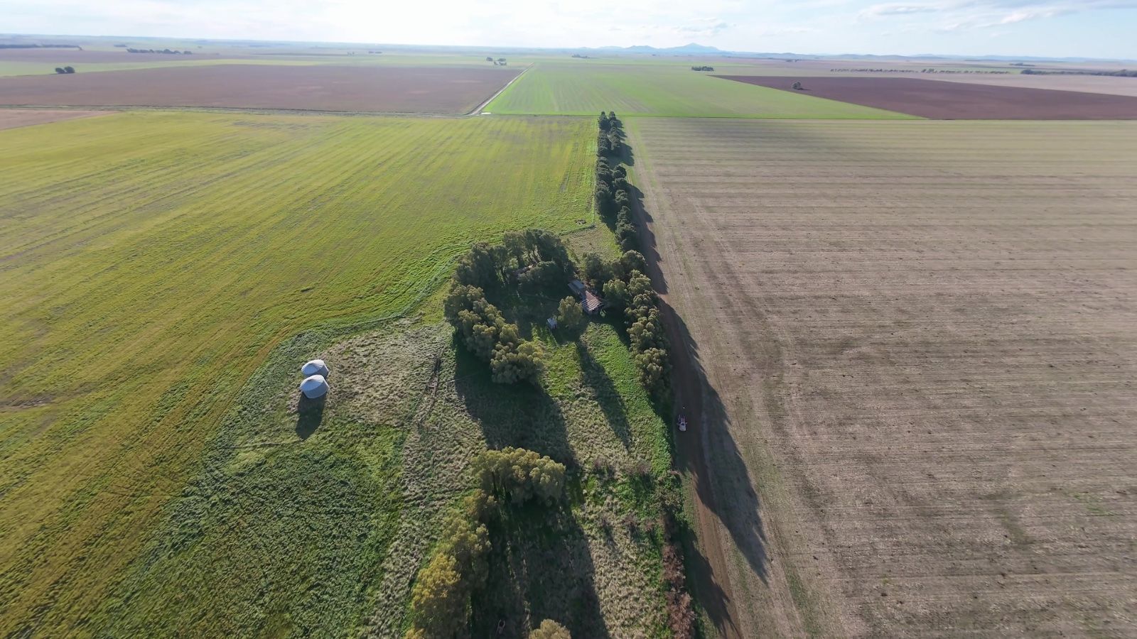 Campo  en Venta   San Romàn - Bahía Blanca Propiedades | SITIO OFICIAL l