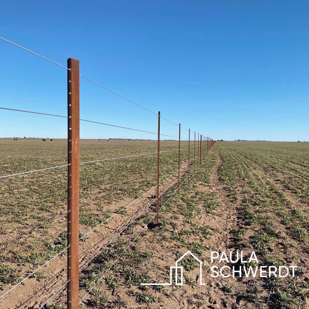 Campo  en Venta   Villarino - Bahía Blanca Propiedades | SITIO OFICIAL l