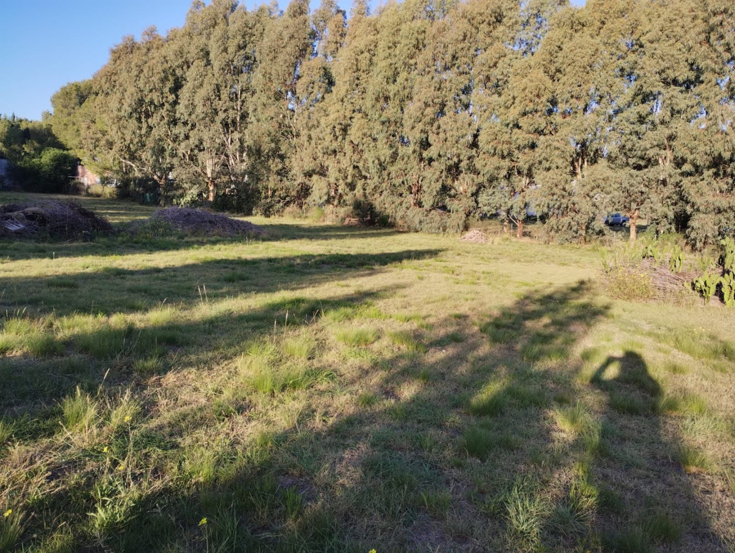 Terreno en Venta en Ciudad De Cali Y La Rastrillada,  Bahía Blanca - Bahía Blanca Propiedades | SITIO OFICIAL l