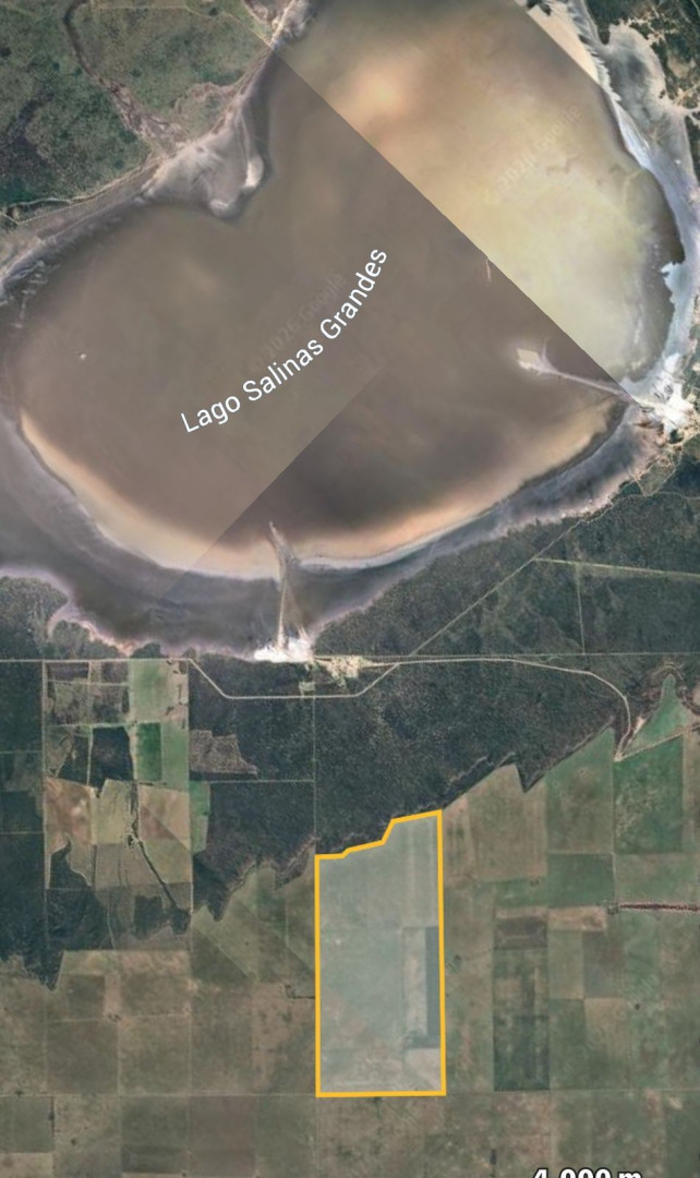 Campo  en Venta en Ruta 22, Algarrobo, Villarino ,  Algarrobo - Bahía Blanca Propiedades | SITIO OFICIAL l