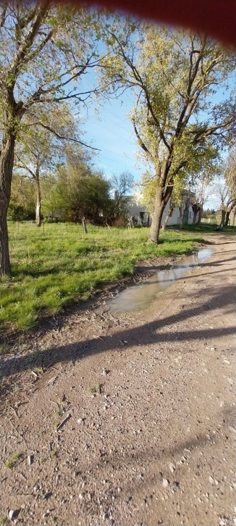 Terreno en Venta en Argerich Pdo De Villarino - Bahía Blanca Propiedades | SITIO OFICIAL l