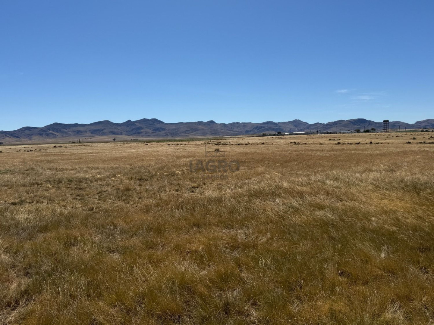 Campo  en Venta en Partido De Saavedra,  Saavedra - Bahía Blanca Propiedades | SITIO OFICIAL l