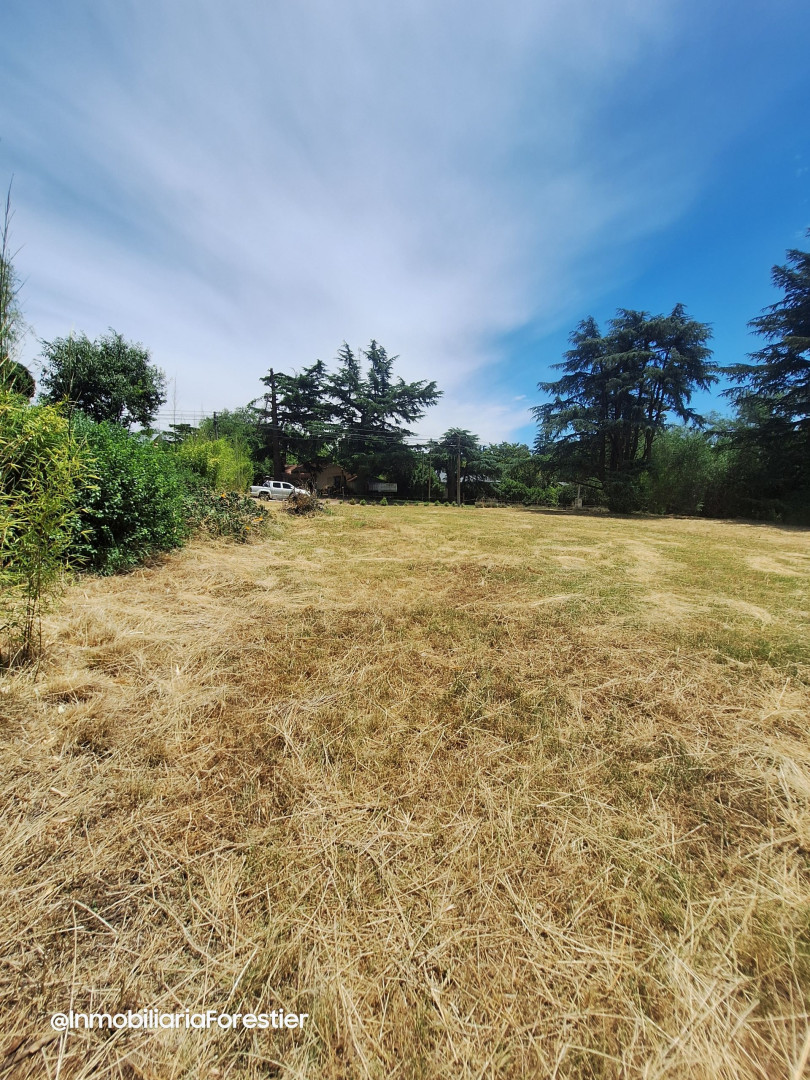Terreno en Venta en LAS CALANDRIAS, Parque Golf, Sierra de  la Ventana - Bahía Blanca Propiedades | SITIO OFICIAL l