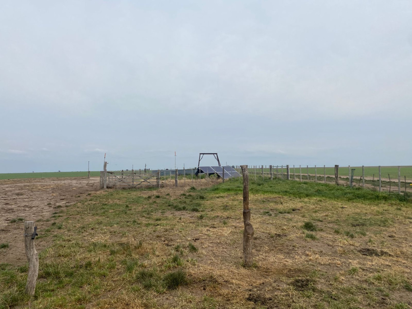 Campo  en Venta   Villarino - Bahía Blanca Propiedades | SITIO OFICIAL l