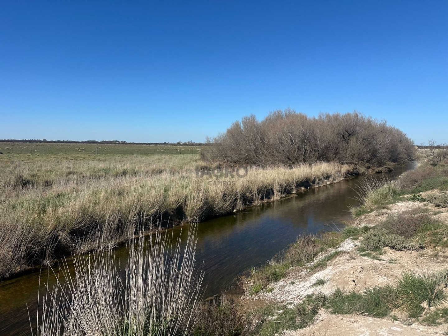 Campo  en Venta en Bahia Blanca,  Bahía Blanca - Bahía Blanca Propiedades | SITIO OFICIAL l