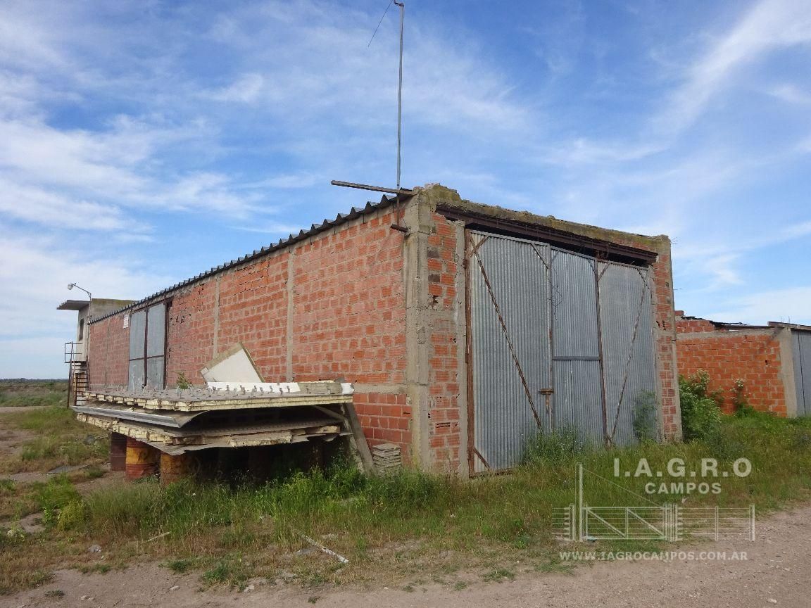 Galpón en Venta en Sussini Y Lugones,  General Cerri - Bahía Blanca Propiedades | SITIO OFICIAL l