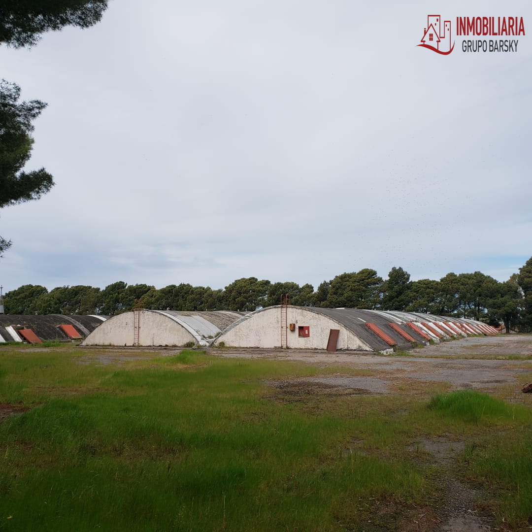 Campo  en Venta   Coronel Dorrego - Bahía Blanca Propiedades | SITIO OFICIAL l