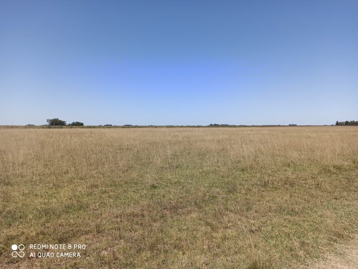 Campo  en Venta - Bahía Blanca Propiedades | SITIO OFICIAL l