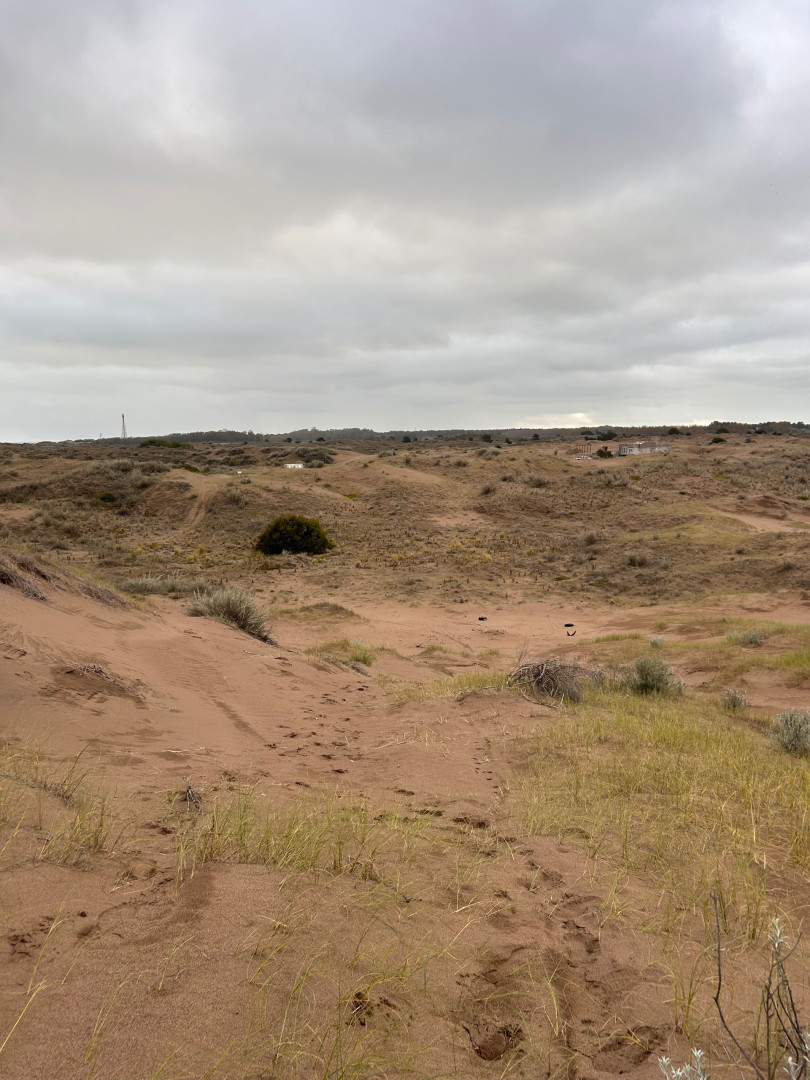 Terreno en Venta en Puleston Entre Magdalena Y San Boronbom, El Sauce, Monte Hermoso - Bahía Blanca Propiedades | SITIO OFICIAL l